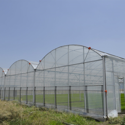 Anti Serangga Net Multi Span Hidroponik Terowongan Rumah Kaca Plastik Untuk Sayuran