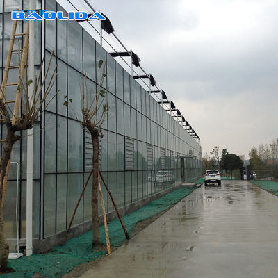 Farming FarmingVenlo Type Greenhouse Untuk Hidroponik Dan Aquaponik Sayur Ikan